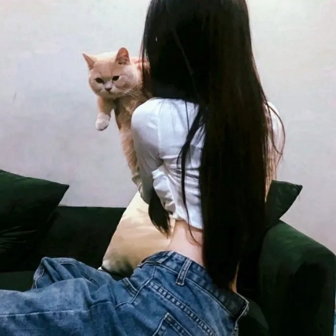 宠物情人